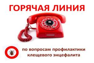 "Горячая линия" по профилактике клещевого энцефалита "Горячая линия" по профилактике клещевого энцефалита.